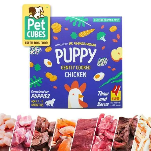 5% OFF [FREE BONE MILK & ICE CREAM FOR 4 CASES] PetCubes Complete Gently Cooked Puppy Chicken Frozen Dog Food 2.25kg