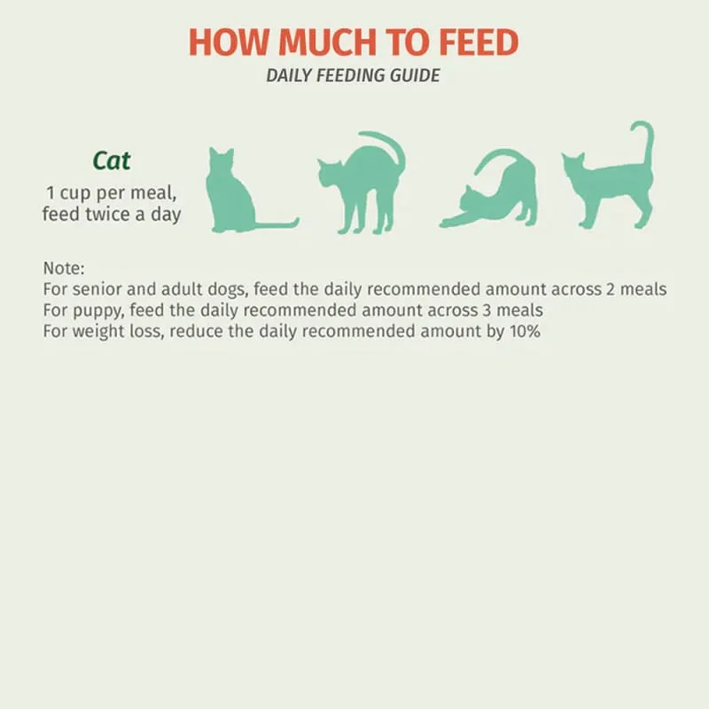 5% OFF [FREE ICE CREAM FOR EVERY 4 CASES] Pet Cubes Beef & Chicken Frozen Raw Cat Food 1.28kg
