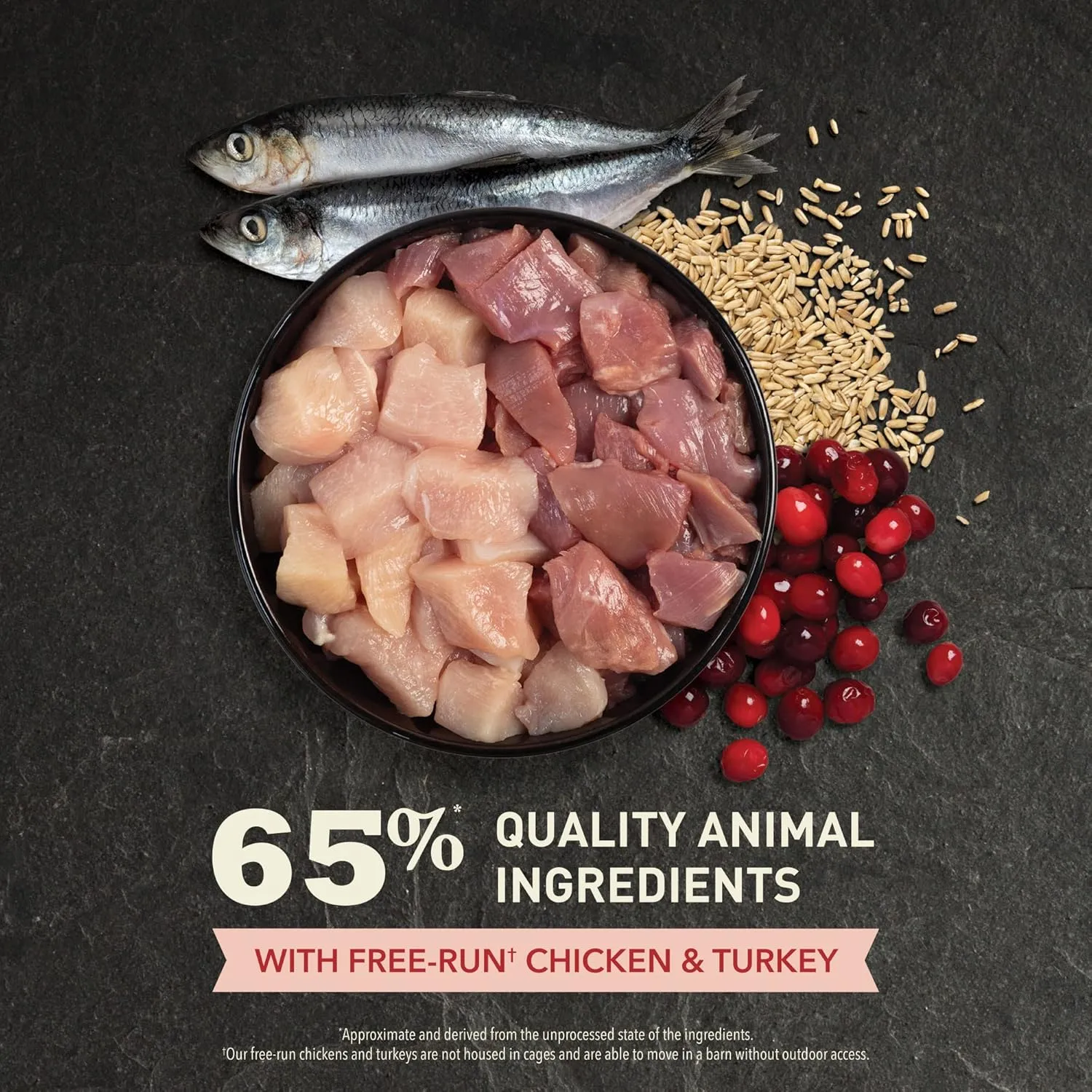 ACANA Indoor Entree Dry Cat Food, Free Run Chicken and Turkey Recipe, 10 lb