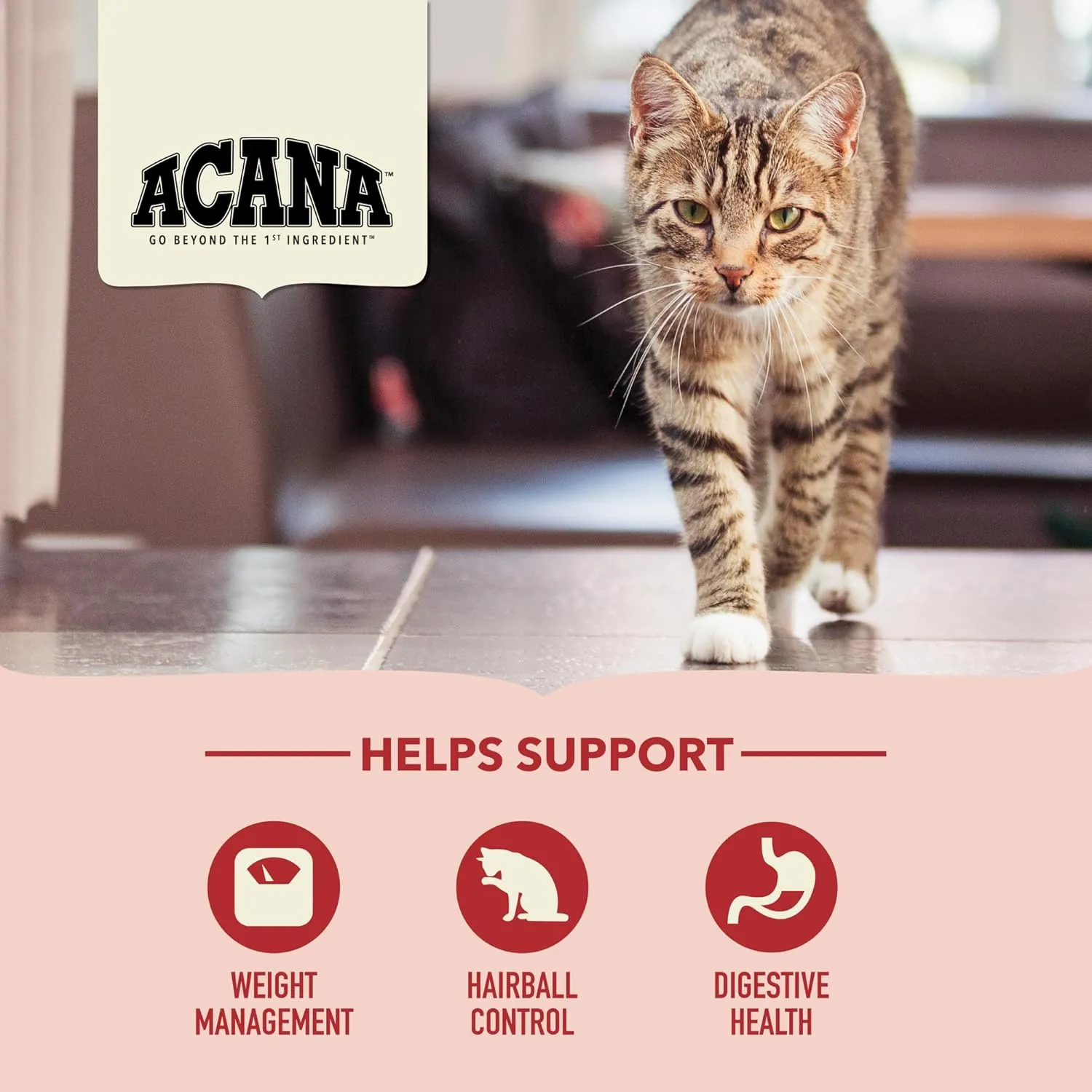 ACANA Indoor Entree Dry Cat Food, Free Run Chicken and Turkey Recipe, 10 lb
