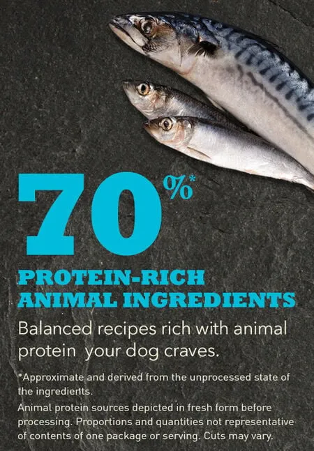 ACANA Regionals Wild Atlantic Formula Grain Free Dry Dog Food