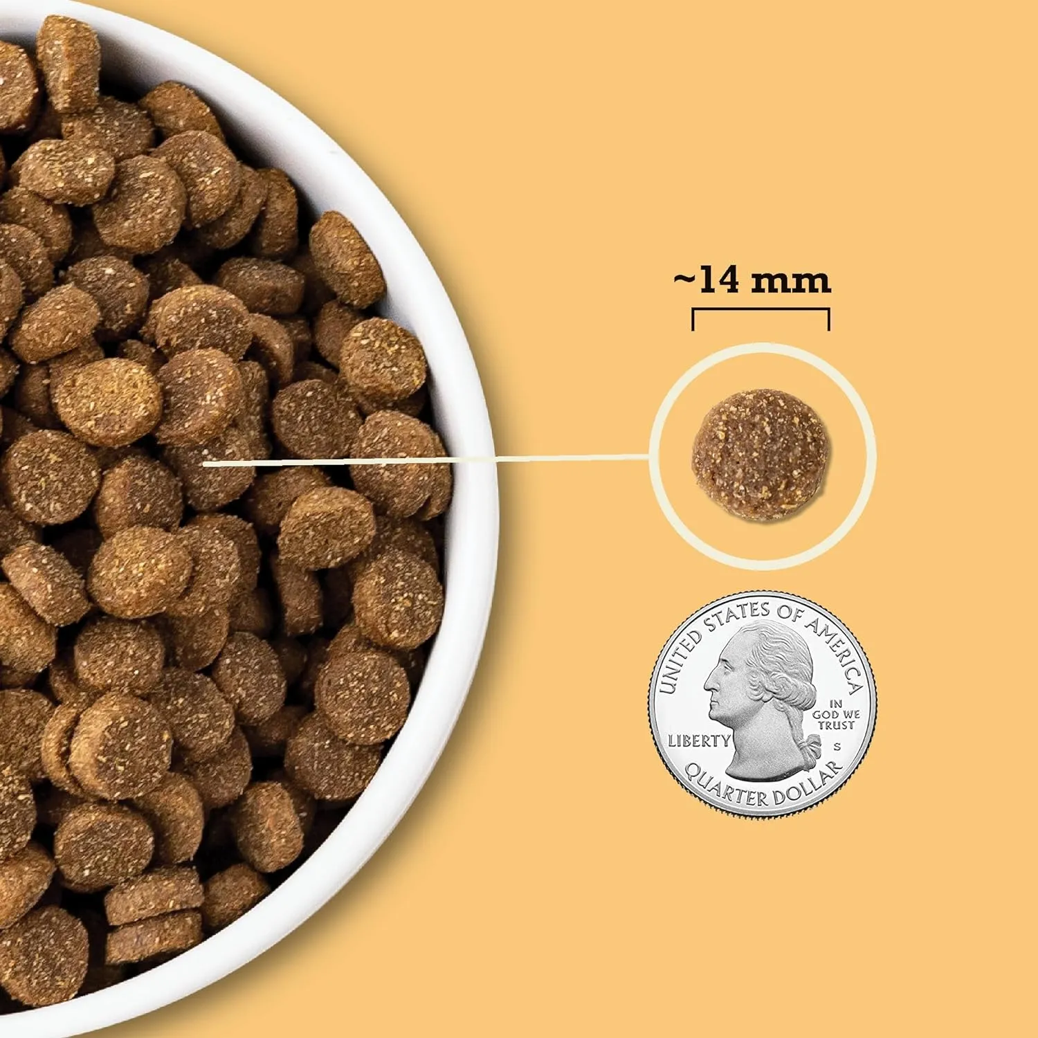 Acana Wholesome Grains Free Run Grains Recipe Dry Dog Food