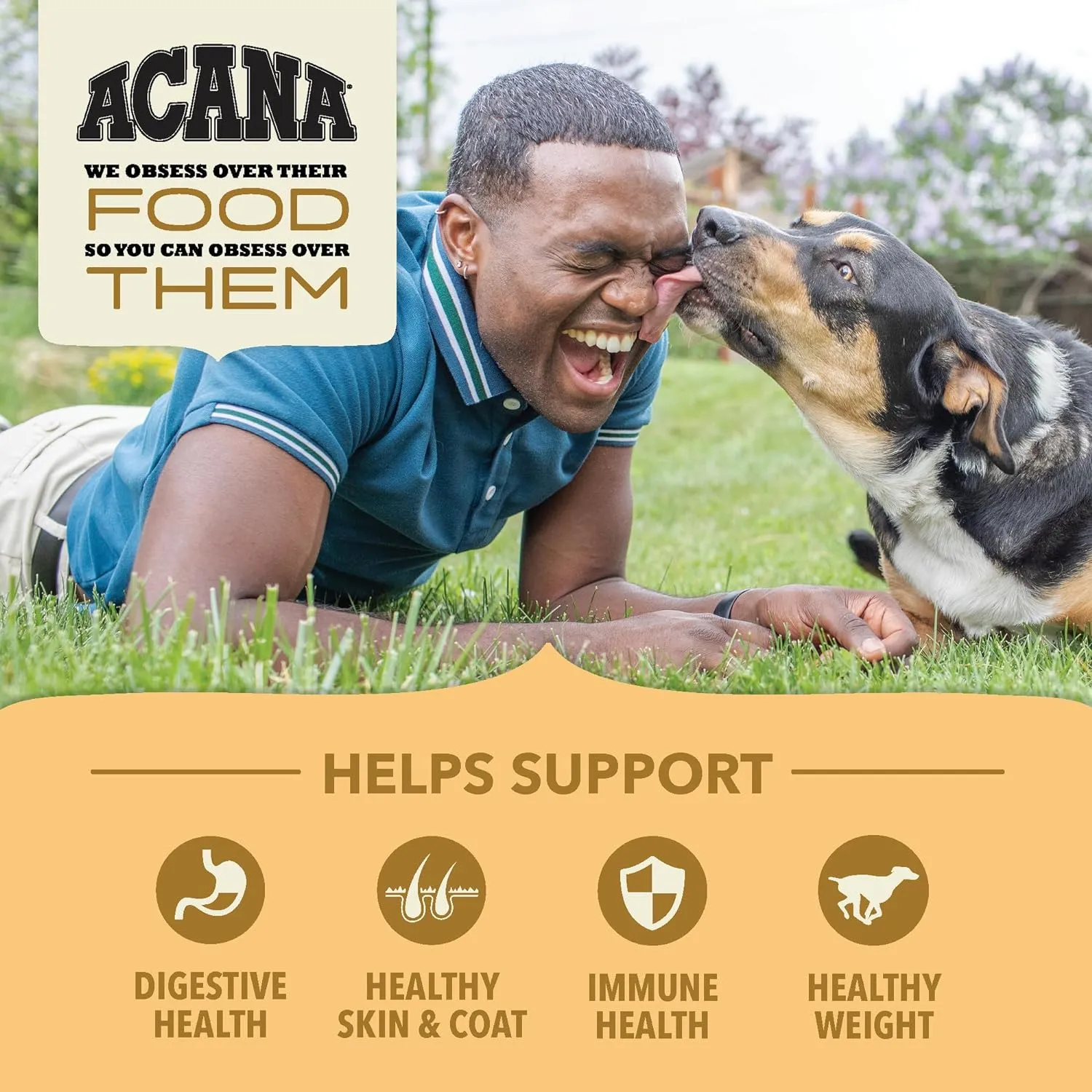 Acana Wholesome Grains Free Run Grains Recipe Dry Dog Food