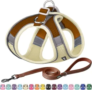 AIITLE No Pull Dog Harness and Leash Set, Step in Adjustable Dog Harness with Padded Vest for All Weather, Dog Leash with Soft Padded Handle, Easy to Put on Small and Medium Dogs Beige S