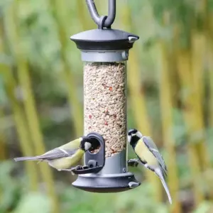 Apollo 2 Port Bird Seed Feeder