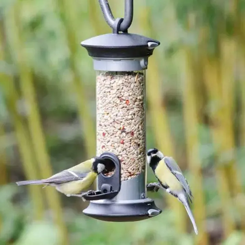 Apollo 2 Port Bird Seed Feeder