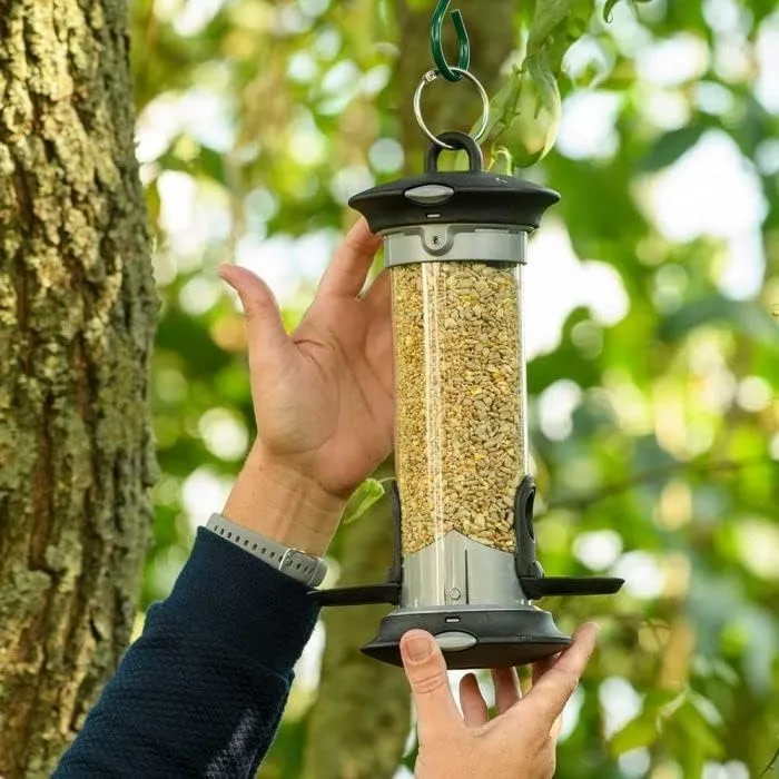 Apollo 2 Port Bird Seed Feeder