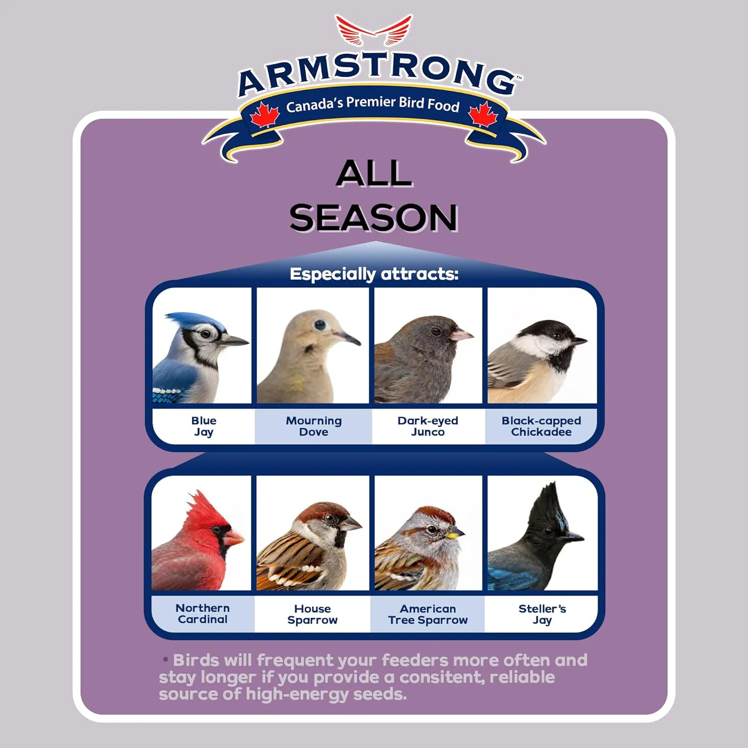 Armstrong All Season 4kg