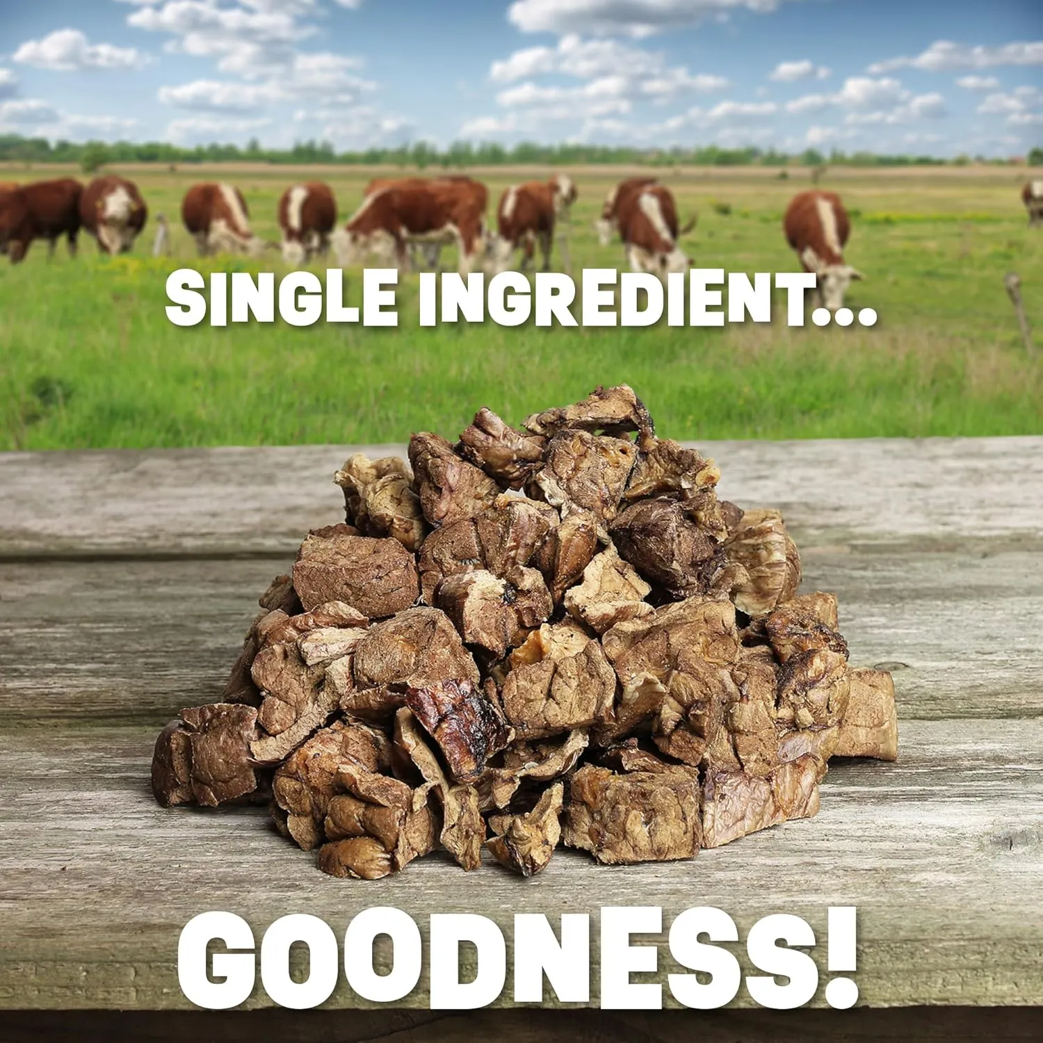 Beef Lung Dog Training Treats | Dental Chews | Healthy Low Calorie | Dehydrated Natural | 16oz Package
