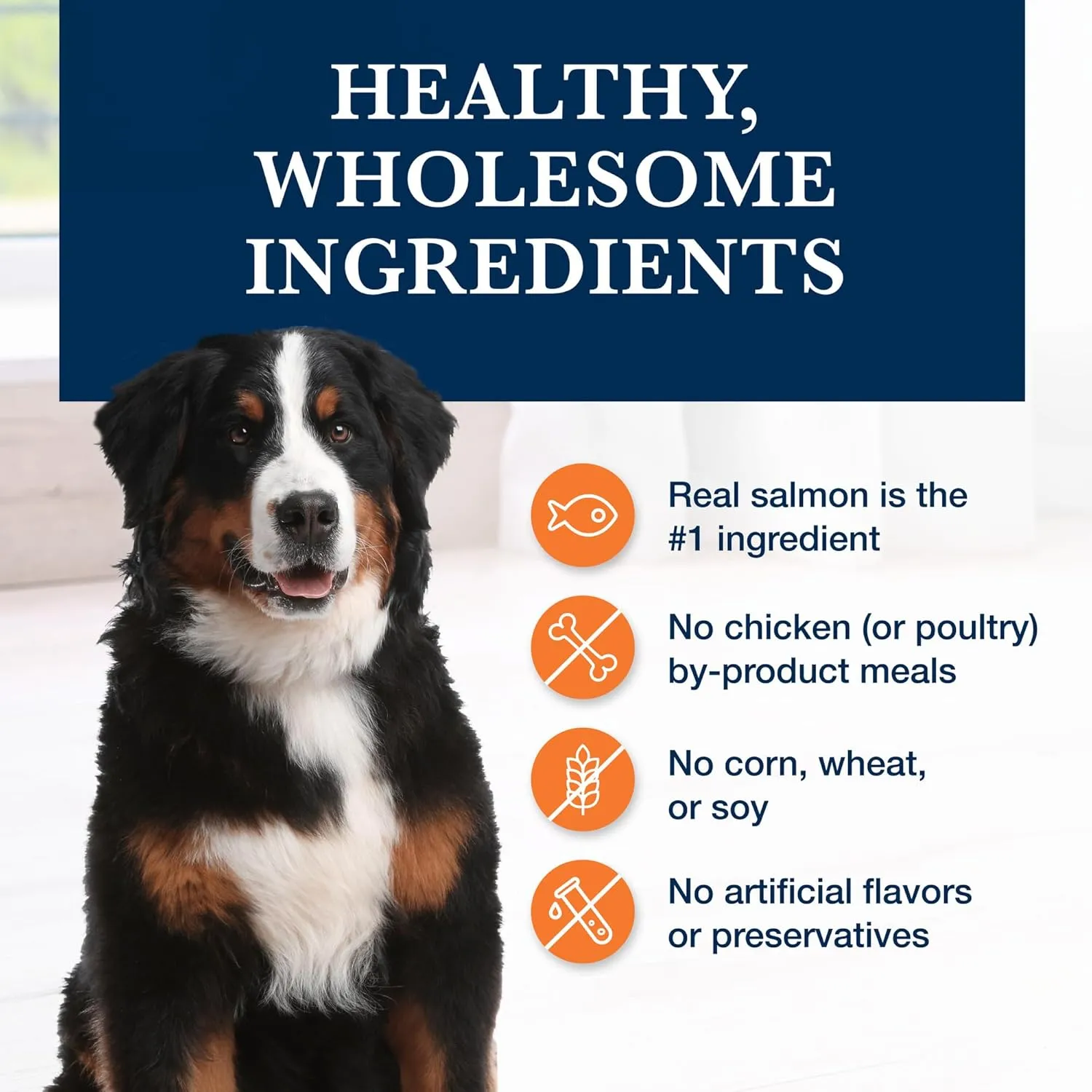 Blue Buffalo Natural Veterinary Diet W M Dry Dog Food, Weight Management   Mobility Formula, Veterinarian Prescription Required, Salmon, 22-lb Bag