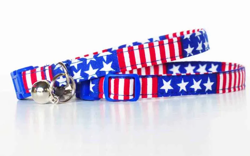 Cat & Kitten Range "New York - New York" by Mabel & Mu