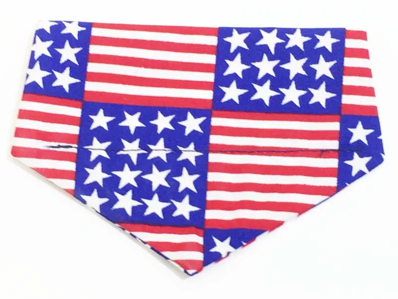 Cat & Kitten Range "New York - New York" by Mabel & Mu