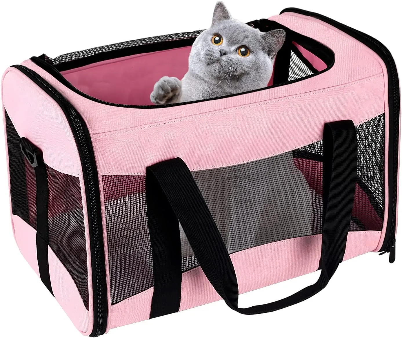 Cat Carrying Case Pet Dog Carrier Soft-Sided Cat Bag Airline Approved