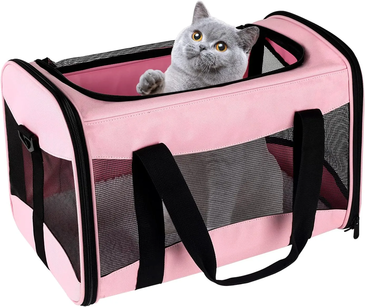 Cat Carrying Case Pet Dog Carrier Soft-Sided Cat Bag Airline Approved