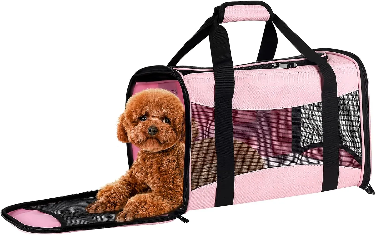 Cat Carrying Case Pet Dog Carrier Soft-Sided Cat Bag Airline Approved