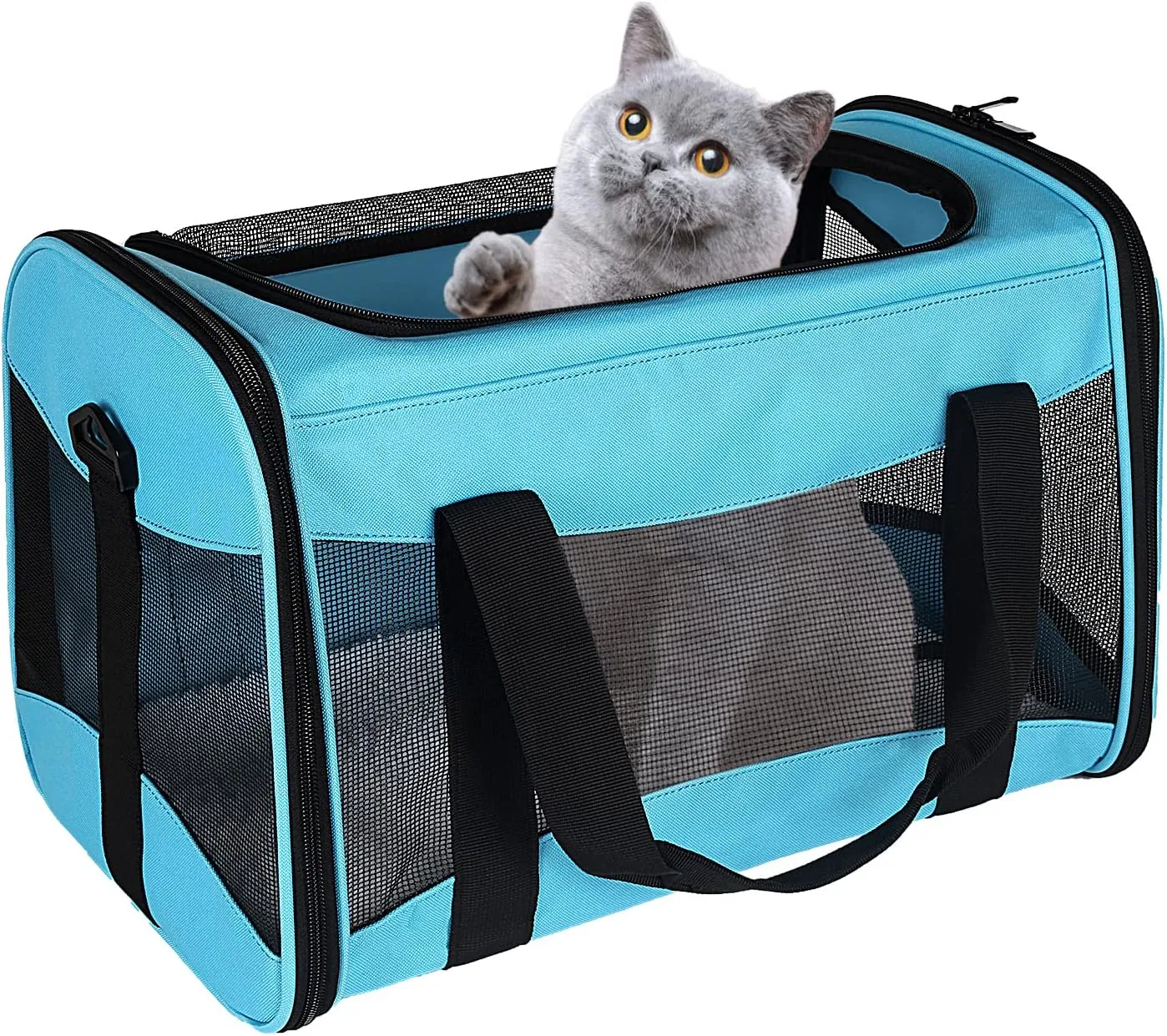 Cat Carrying Case Pet Dog Carrier Soft-Sided Cat Bag Airline Approved