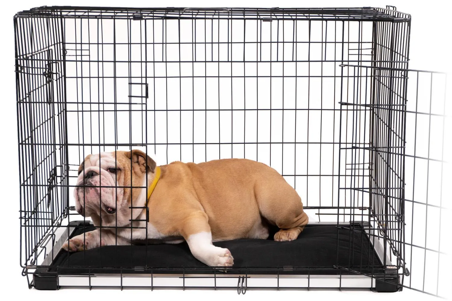 Chew Proof Armored™ Dog Crate Pad - Open Box