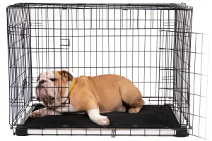 Chew Proof Armored™ Dog Crate Pad - Open Box