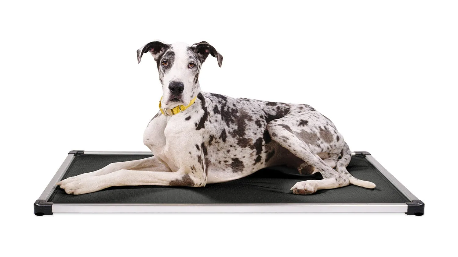 Chew Proof Armored™ Dog Crate Pad - Open Box
