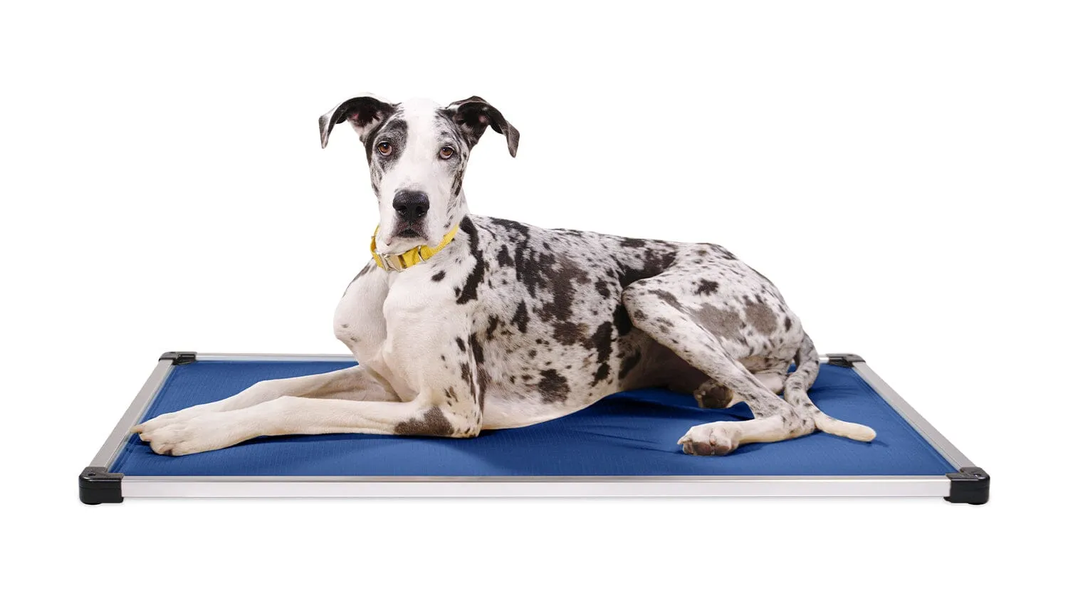 Chew Proof Armored™ Dog Crate Pad - Open Box