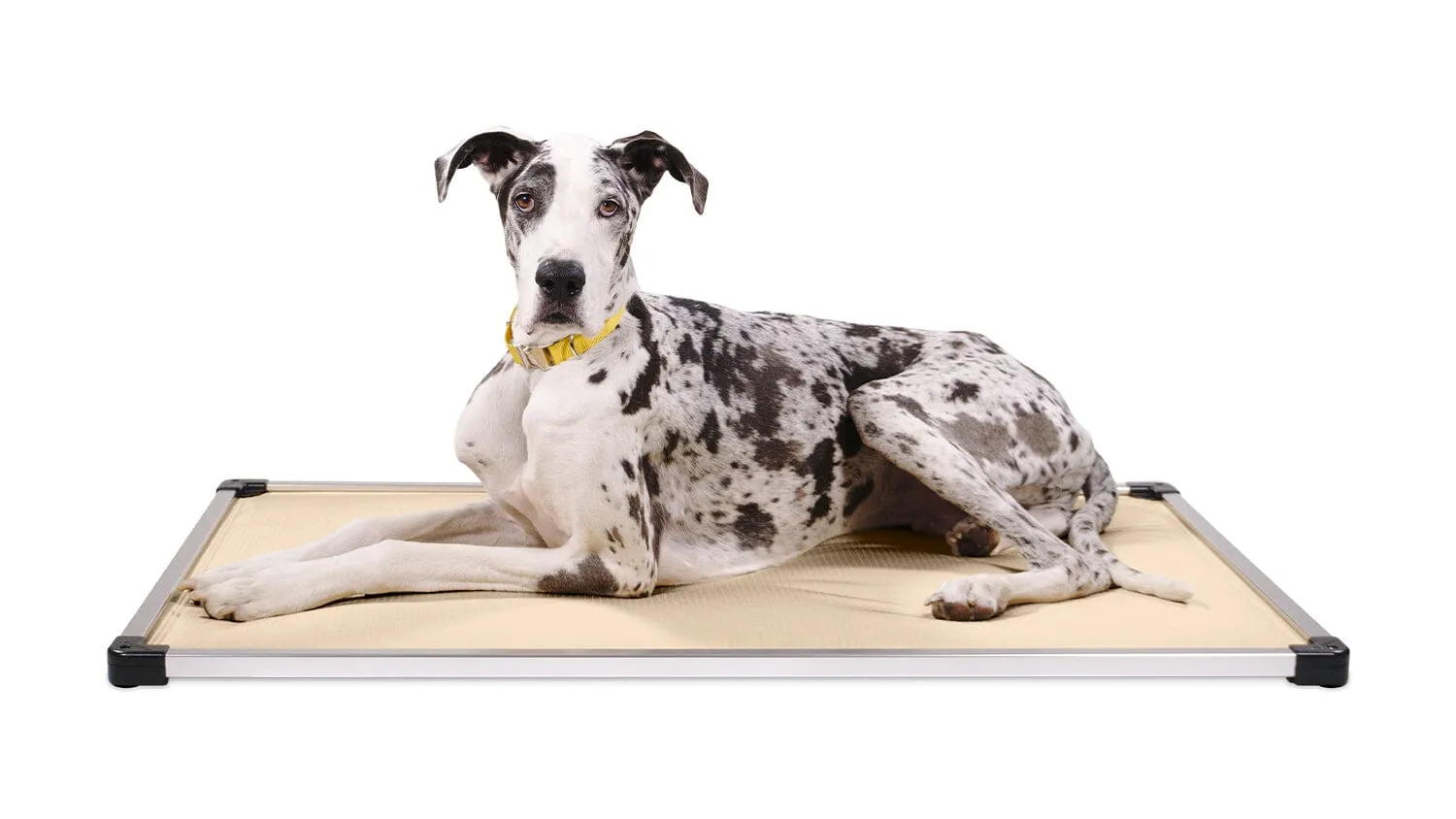 Chew Proof Armored™ Dog Crate Pad - Open Box