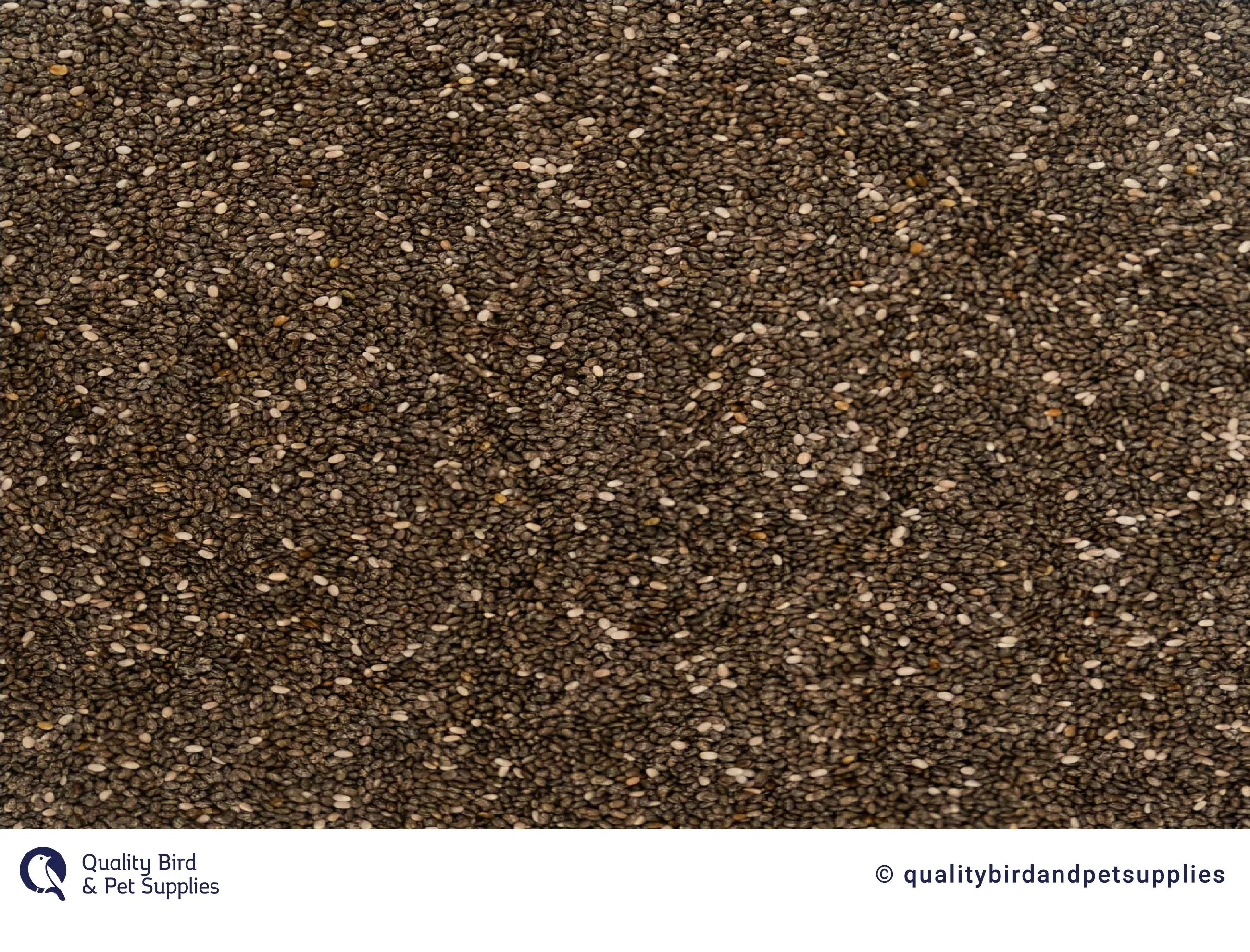Chia Seeds