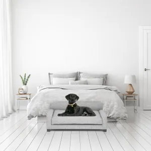 Club Nine Pets Metro Orthopedic Dog Bed in Metal