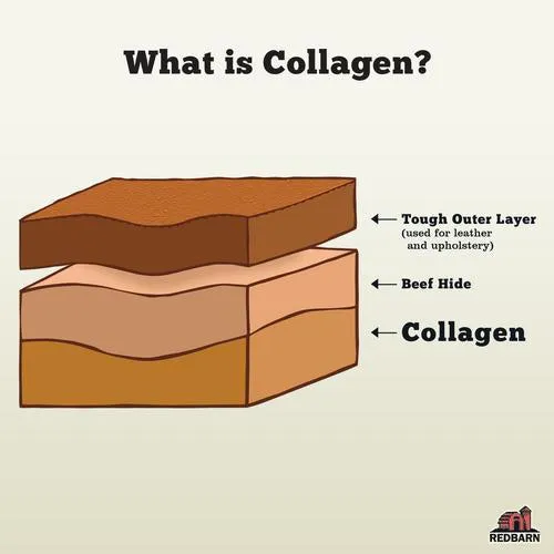 Collagen Spring Dog Chew - Medium