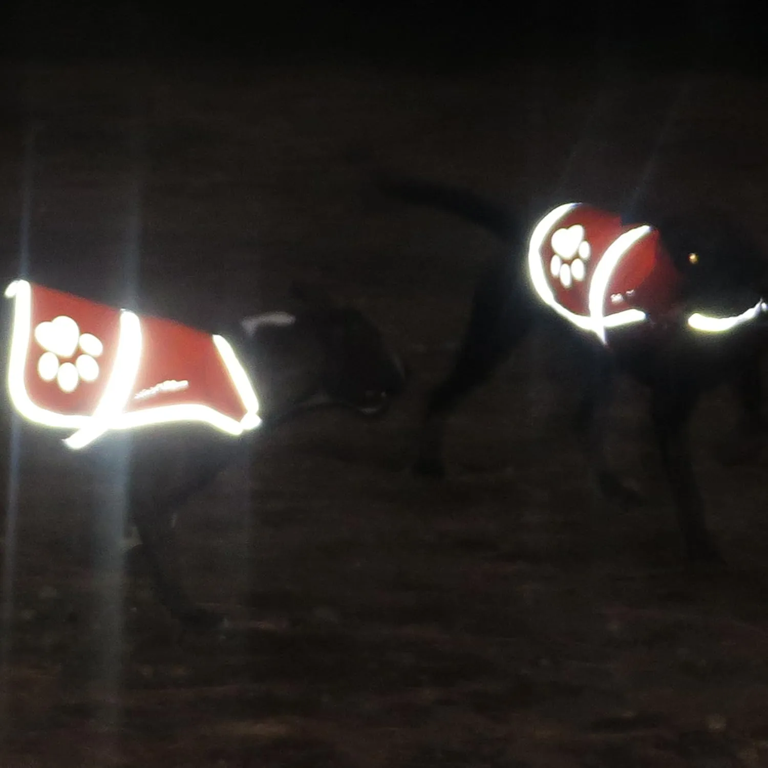 Dog Reflective Vest  Multiple Color Options with Hi-Vis Fluorescent Visibility Helping to Safeguard Your Pet On/Off Leash in Urban & Rural Areas.