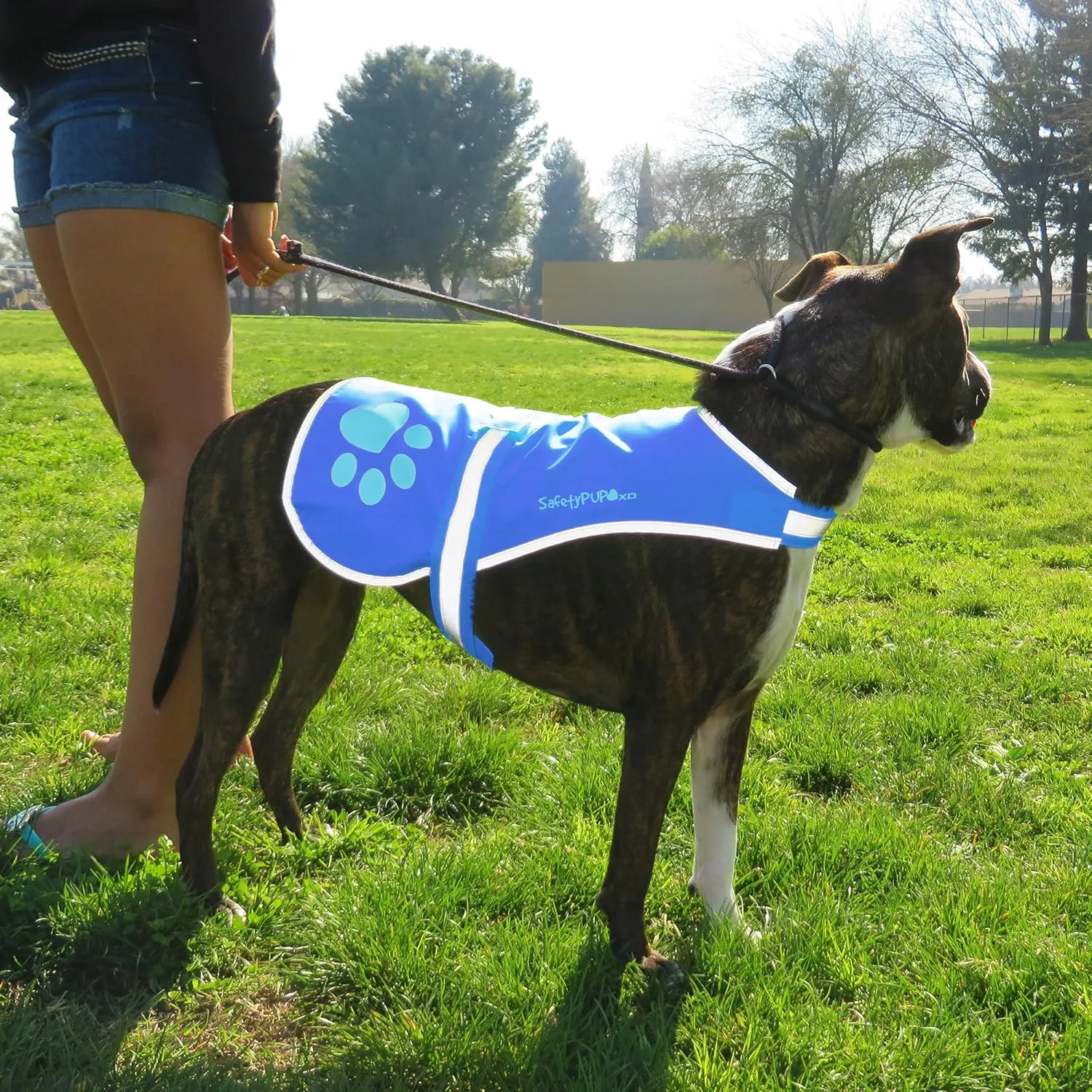 Dog Reflective Vest  Multiple Color Options with Hi-Vis Fluorescent Visibility Helping to Safeguard Your Pet On/Off Leash in Urban & Rural Areas.