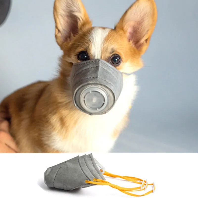 Dogs Anti-Fog Haze Masks