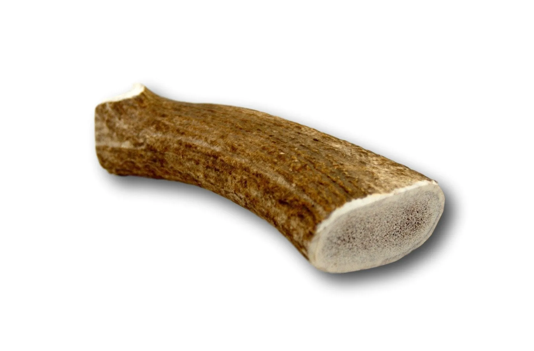 Elk Antler Dog Treat- Extra Large - 1 Piece