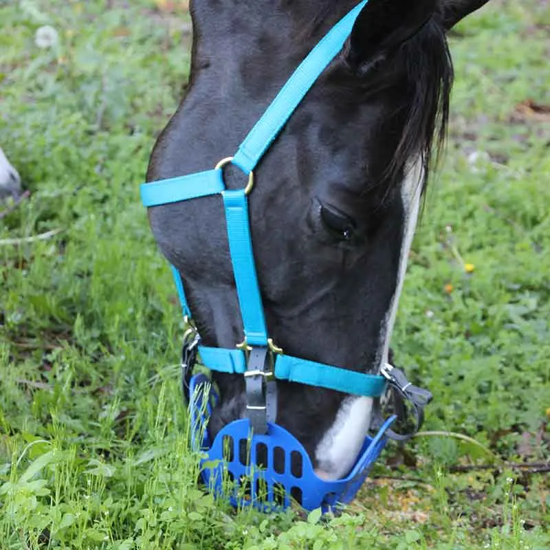 Green Guard Grazing Muzzle