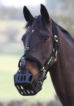 Green Guard Grazing Muzzle