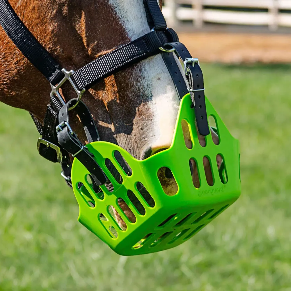 Green Guard Grazing Muzzle