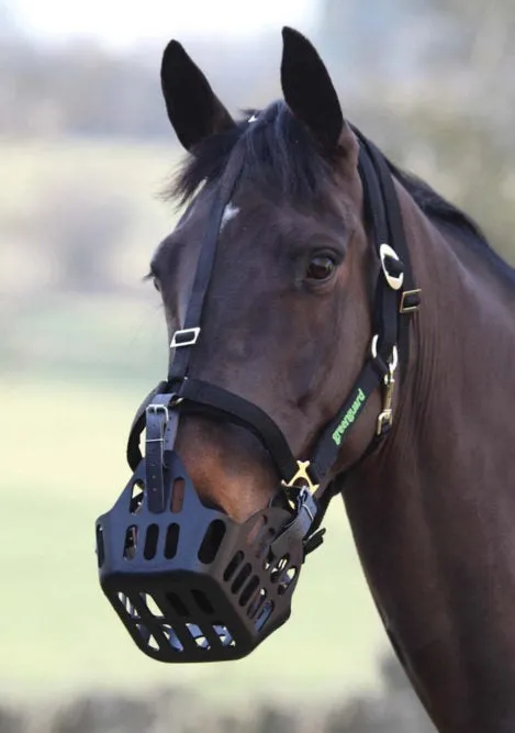 Green Guard Grazing Muzzle