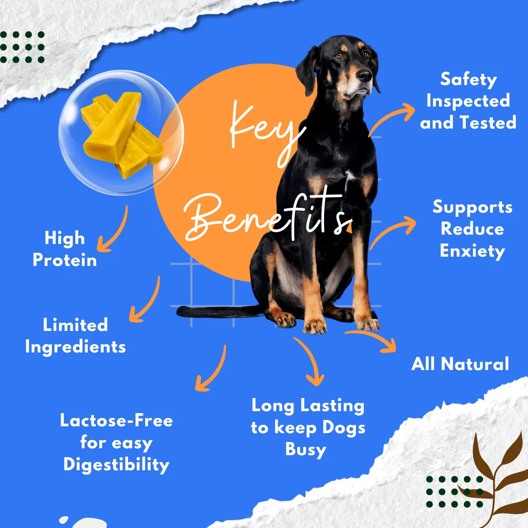 Guppy Himalayan Yak Cheese Dog Chews, 100% Natural, Long Lasting, Gluten Free, Healthy & Safe Dog Treats, Lactose & Grain Free, Protein Rich | Authentic Ancient Recipe| For Large Dog Breeds- Pack of 3