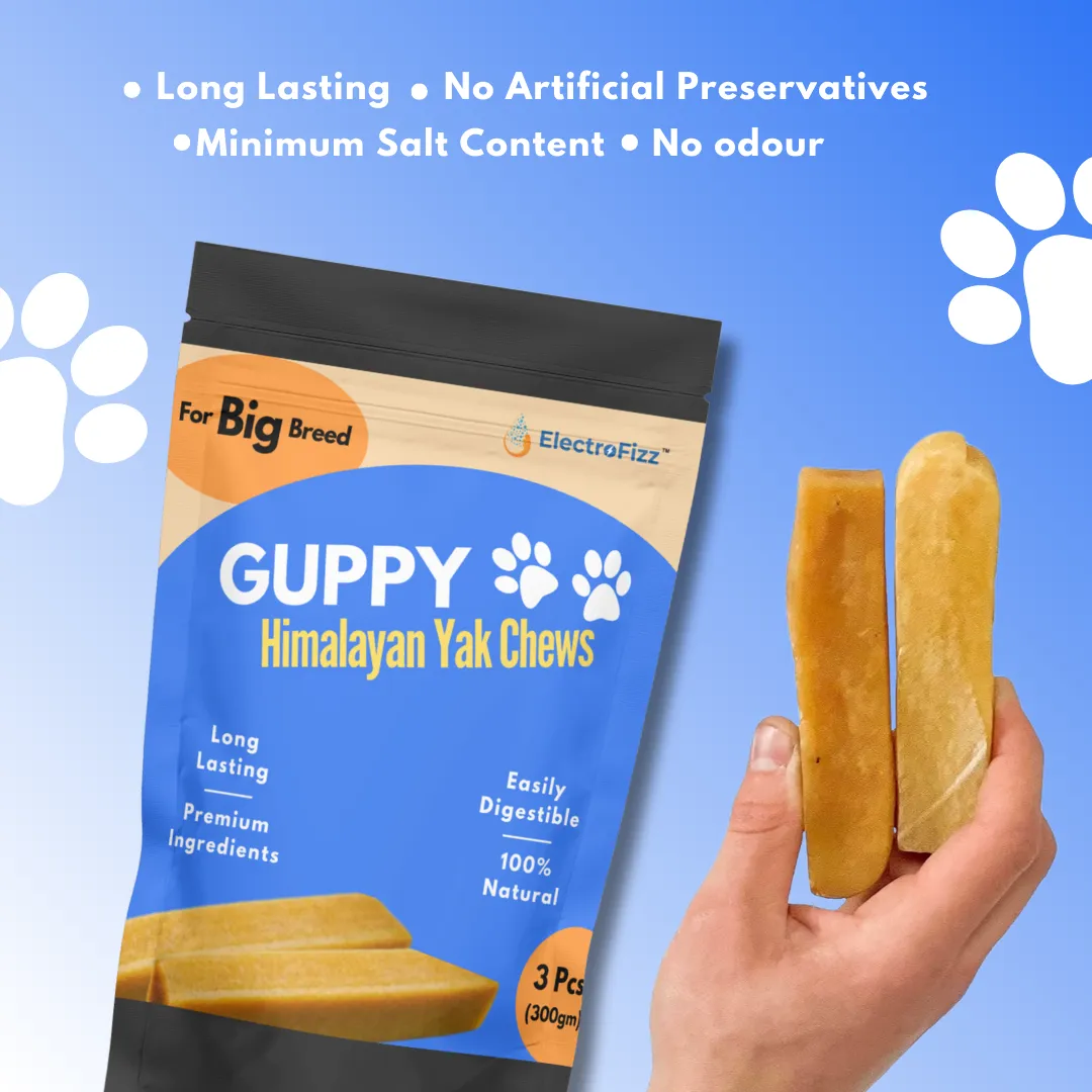 Guppy Himalayan Yak Cheese Dog Chews, 100% Natural, Long Lasting, Gluten Free, Healthy & Safe Dog Treats, Lactose & Grain Free, Protein Rich | Authentic Ancient Recipe| For Large Dog Breeds- Pack of 3