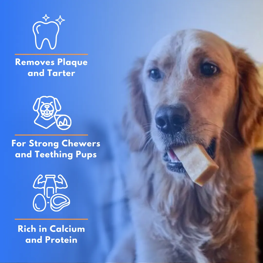 Guppy Himalayan Yak Cheese Dog Chews, 100% Natural, Long Lasting, Gluten Free, Healthy & Safe Dog Treats, Lactose & Grain Free, Protein Rich | Authentic Ancient Recipe| For Large Dog Breeds- Pack of 3