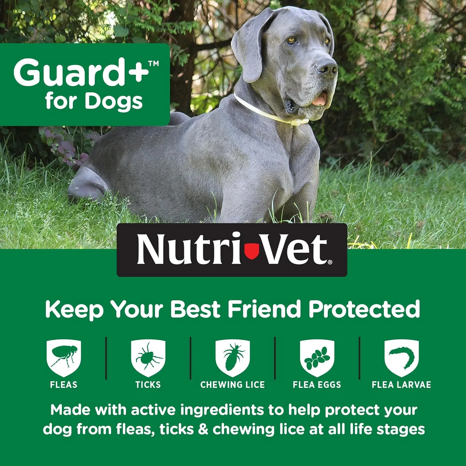 Nutri-Vet Guard   -  90-125 ( 40.4-59.9 ) -  - 90  - 3 