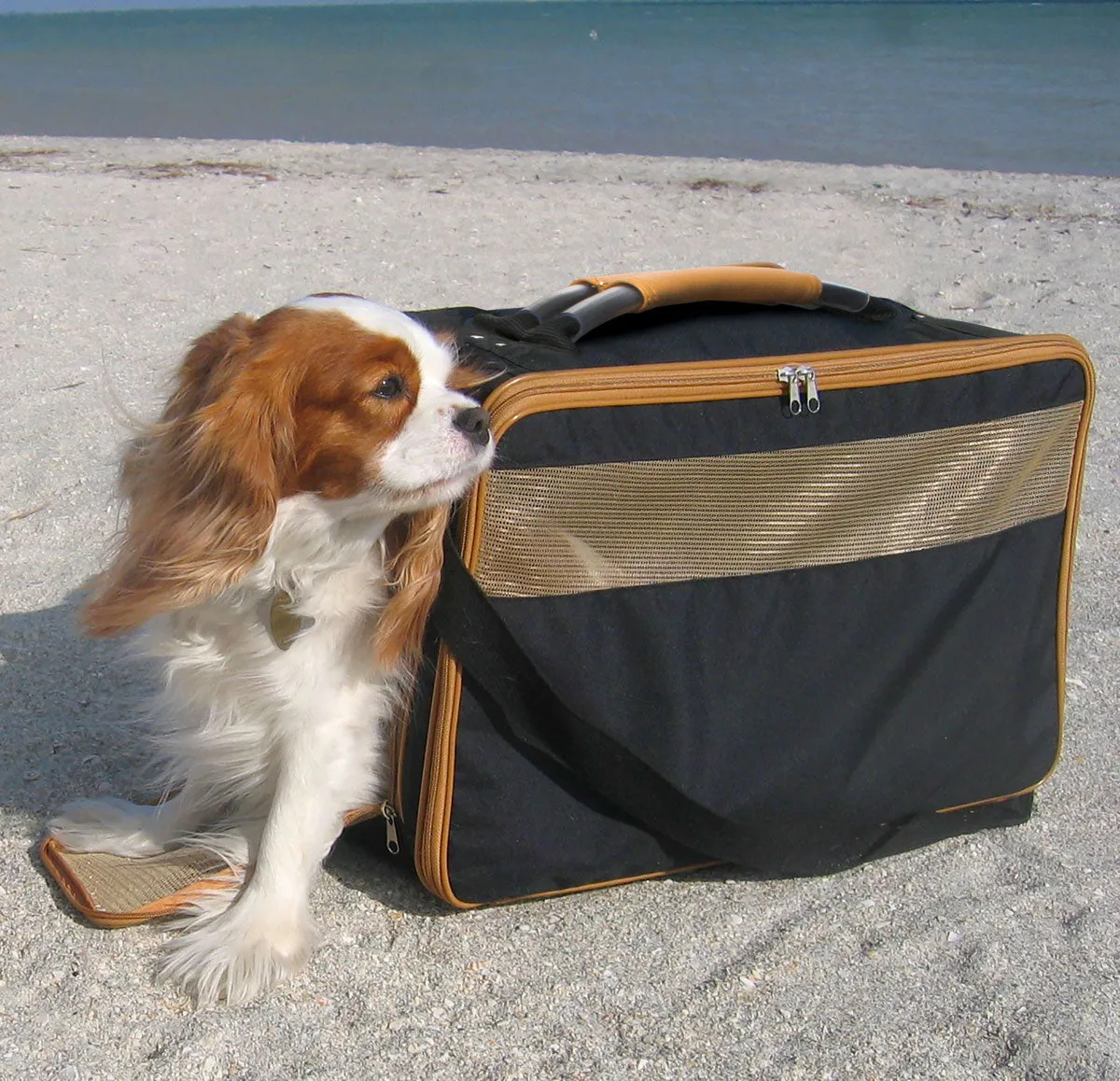 NYLON DOG CARRIER