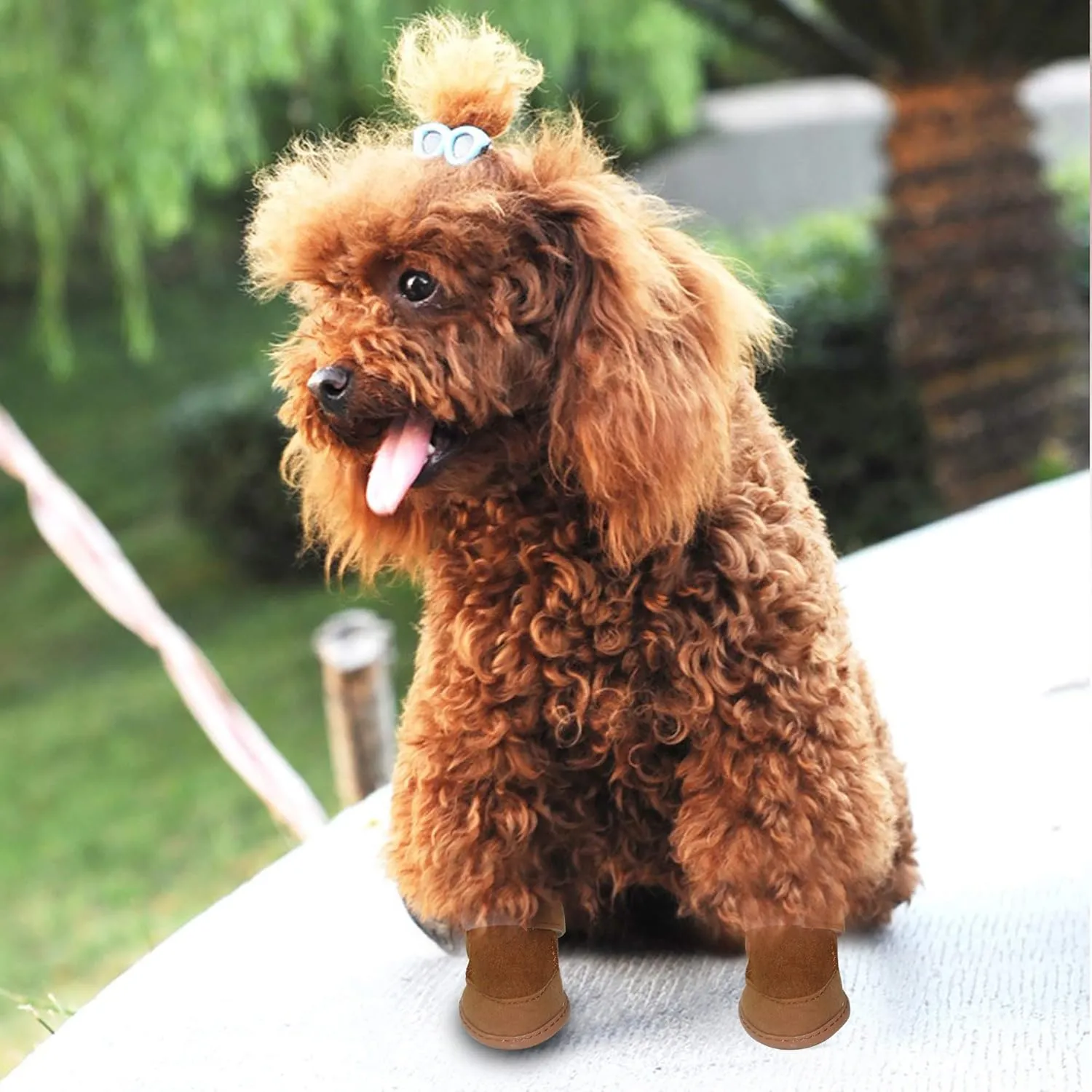 payanwin Dog Boots Paw Protector, Anti-Slip Dog Shoes,Dog Australia Boots Pet Antiskid Shoes Winter Warm Skidproof Sneakers, for Small Dog (#2, Brown)