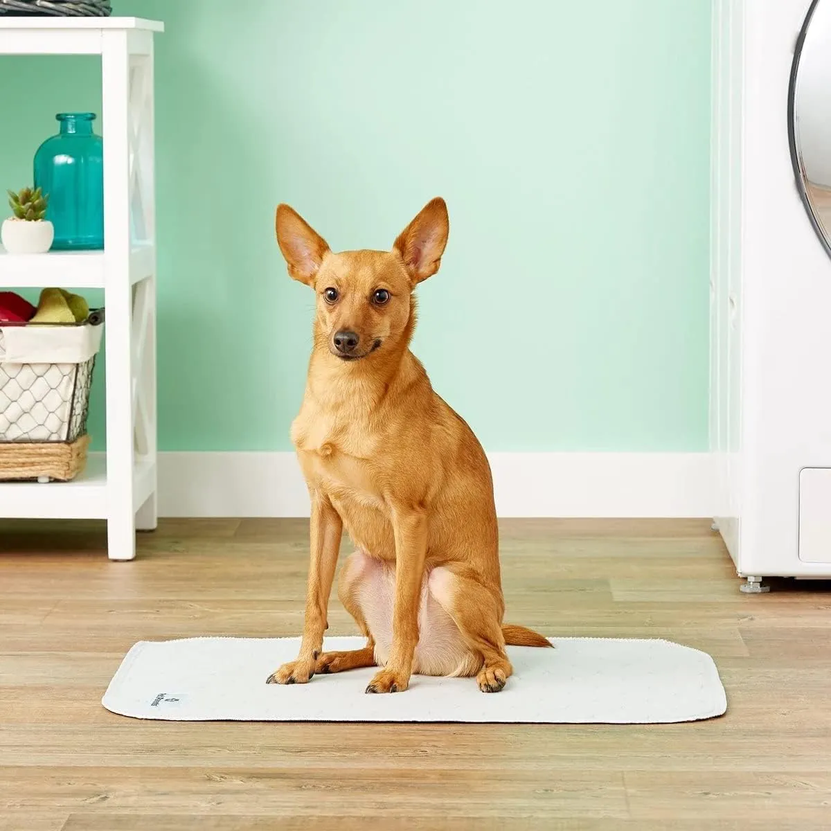 Pet Parents Pawtect Pads Washable Dog Pee Pads (2pack) of 18x24 Premium Pee Pads for Dogs, Waterproof Training Pads for Dogs & Reusable Dog Pee Pads! Whelping & Modern Puppy Pads!