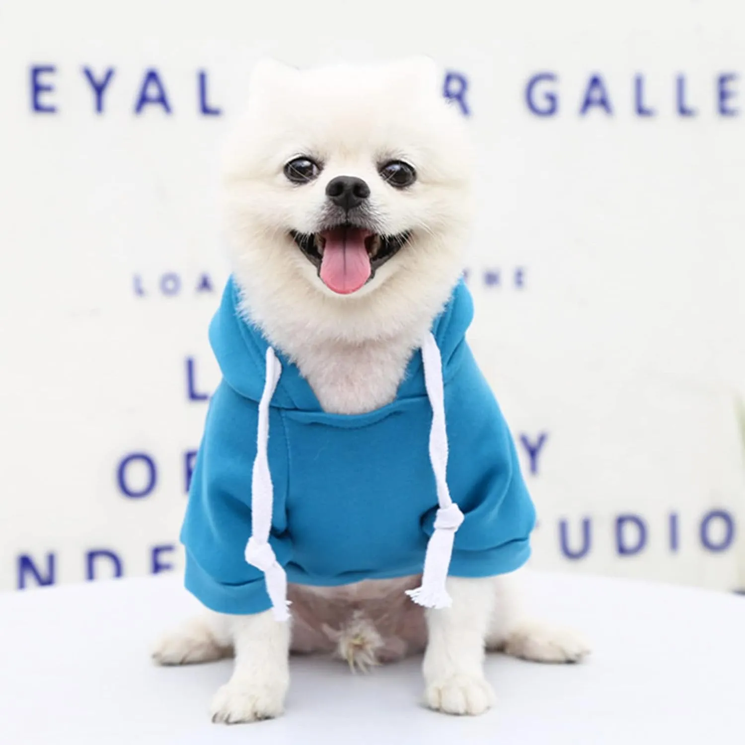 PETCARE Dog Hoodies Pet Small Dog Sweater Blue Warm Soft Fleece Sweatshirts with Pocket Winter Puppy Cat Sweaters Hooded Clothes for Small Dogs Chihuahua Outfits Yorkies French Bulldog Costume