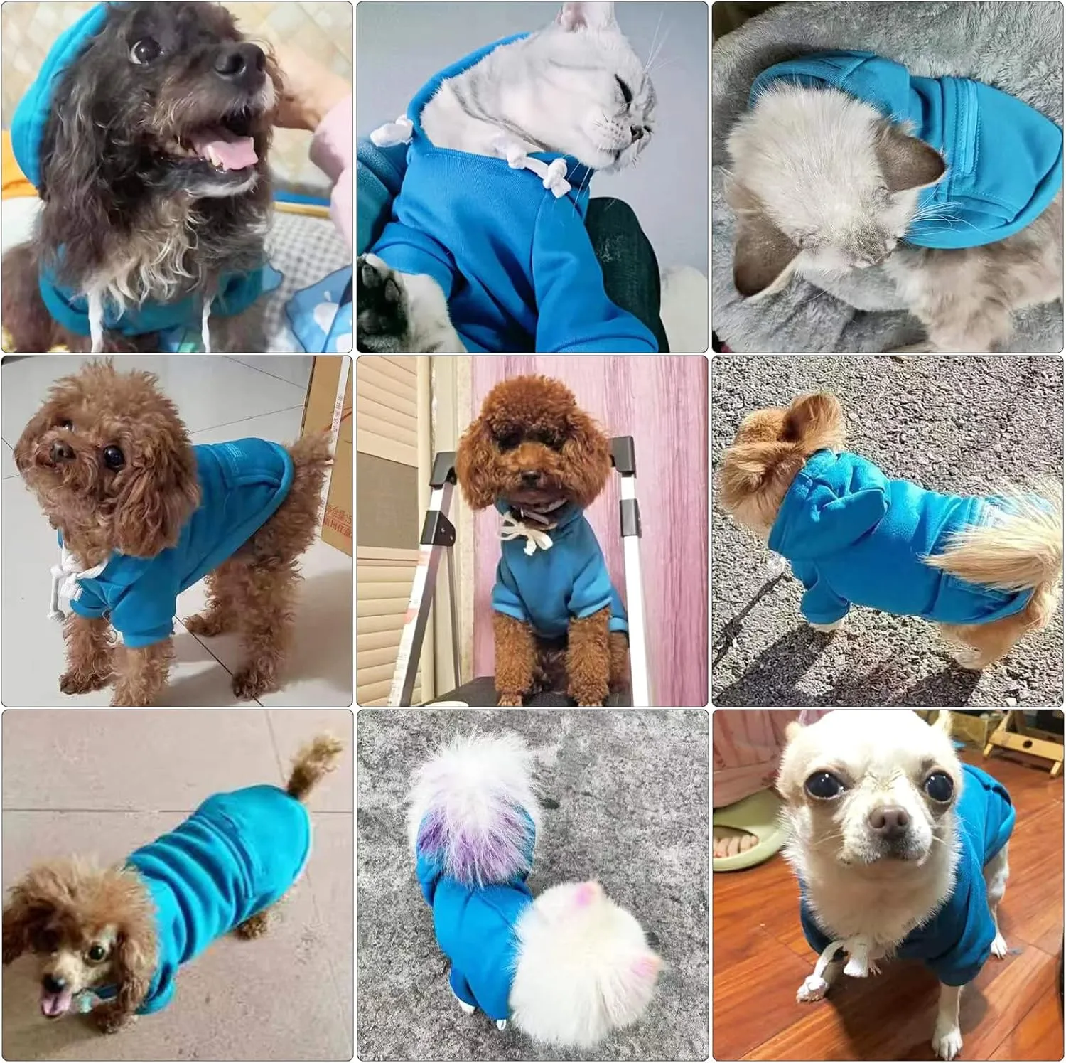 PETCARE Dog Hoodies Pet Small Dog Sweater Blue Warm Soft Fleece Sweatshirts with Pocket Winter Puppy Cat Sweaters Hooded Clothes for Small Dogs Chihuahua Outfits Yorkies French Bulldog Costume