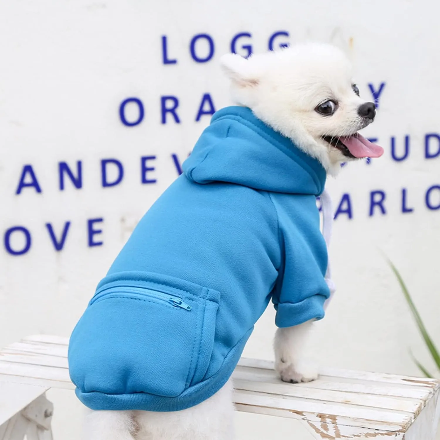 PETCARE Dog Hoodies Pet Small Dog Sweater Blue Warm Soft Fleece Sweatshirts with Pocket Winter Puppy Cat Sweaters Hooded Clothes for Small Dogs Chihuahua Outfits Yorkies French Bulldog Costume