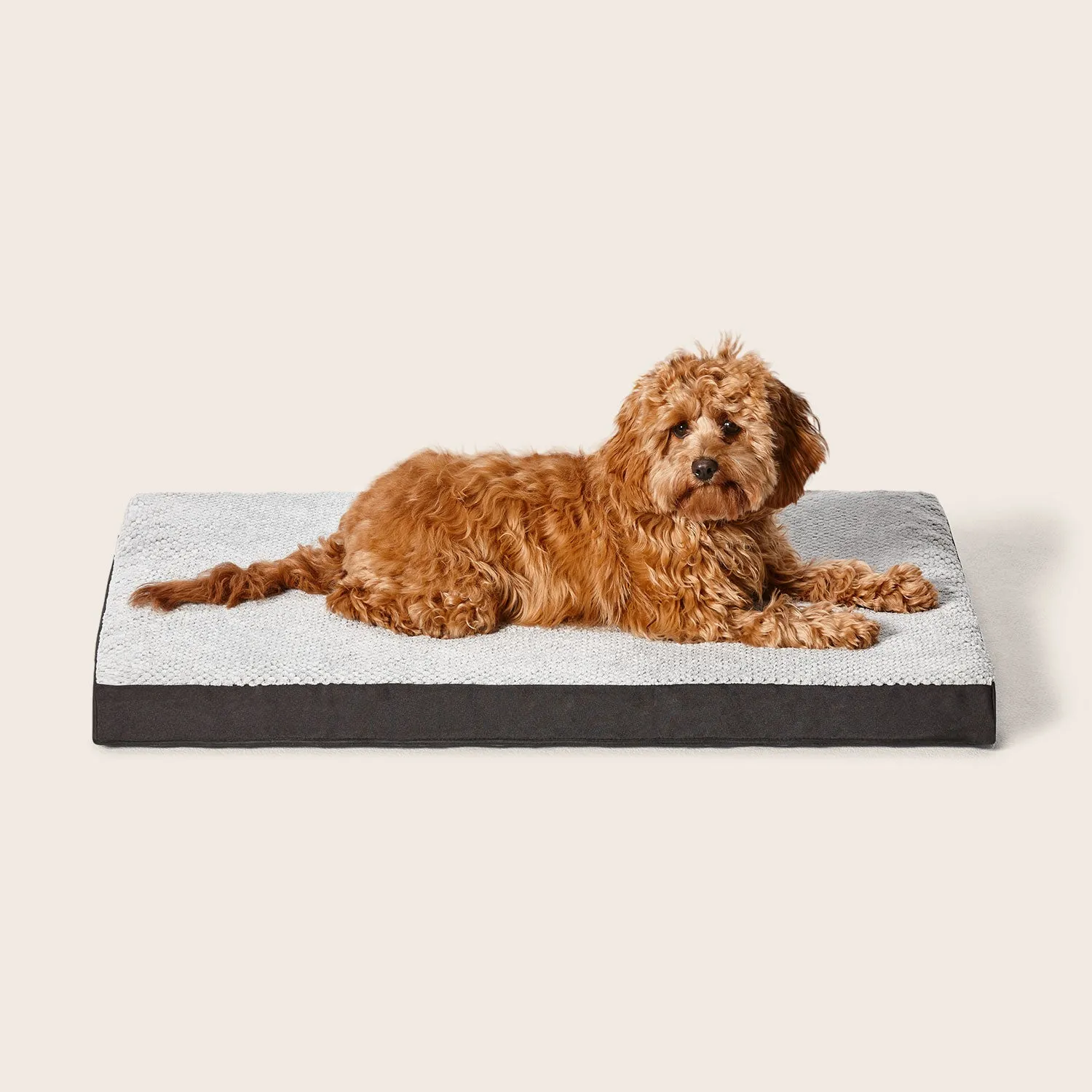 Plush Orthobed