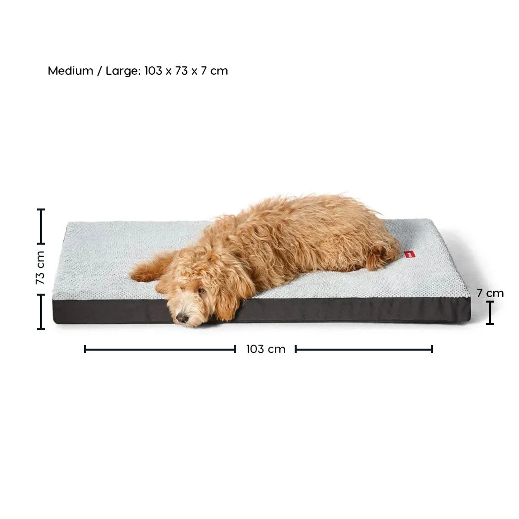 Plush Orthobed