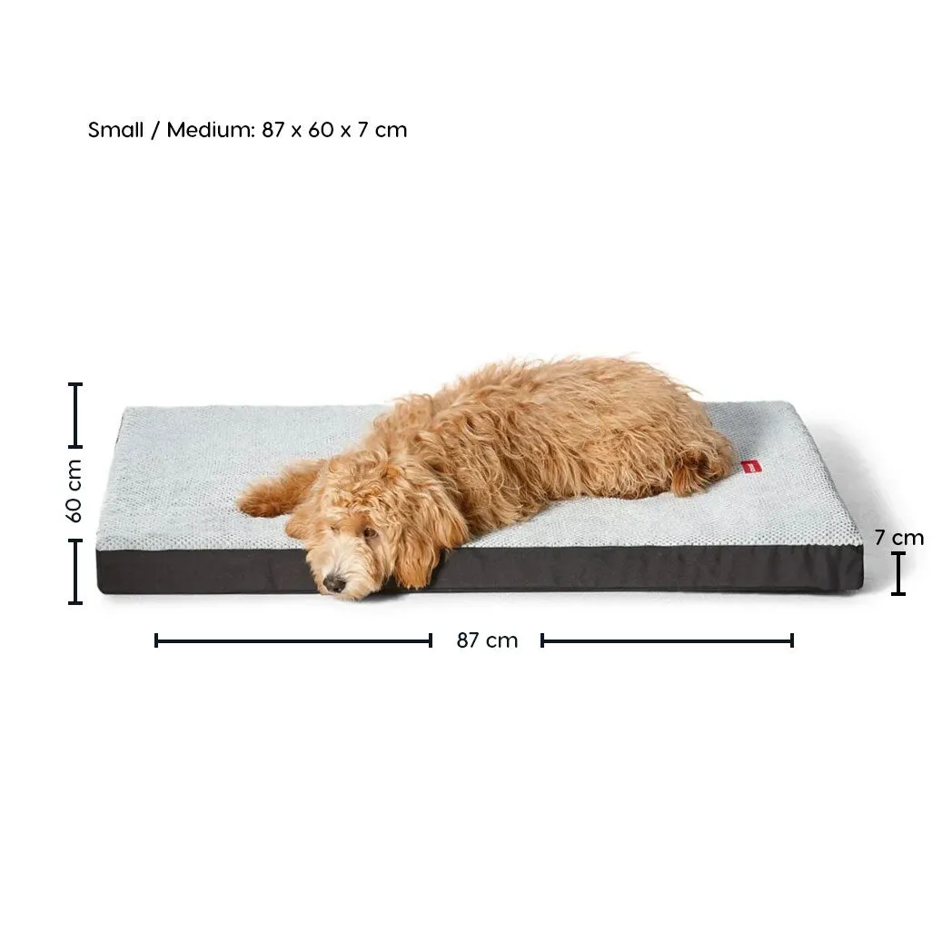 Plush Orthobed