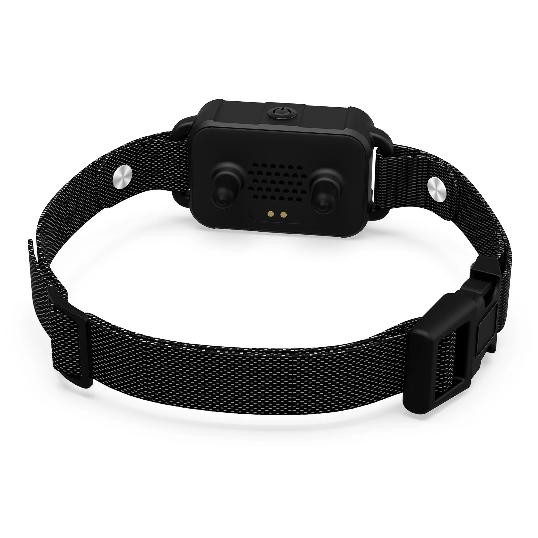 RC09 Dog Training Collar